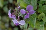 Dcim5741/DSC_8877