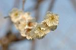 Dcim5741/DSC_8888