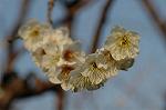 Dcim5741/DSC_8889