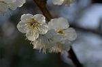 Dcim5741/DSC_8890