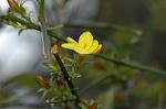 Dcim5741/DSC_8910
