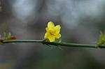 Dcim5741/DSC_8912