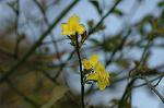 Dcim5741/DSC_8914