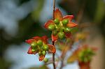 Dcim5741/DSC_8961
