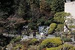 Dcim5742/DSC_6405