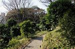 Dcim5743/DSC_6537