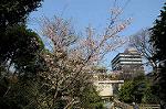 Dcim5744/DSC_6575