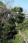Dcim5744/DSC_6578