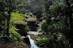 Dcim5744/DSC_6582