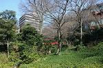 Dcim5744/DSC_6612
