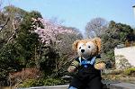 Dcim5744/DSC_6621