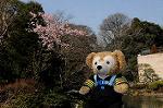 Dcim5744/DSC_6622