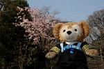Dcim5744/DSC_6625