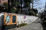 Dcim5745/DSC_6741