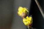 Dcim5764/DSC_9293
