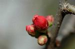 Dcim5764/DSC_9295