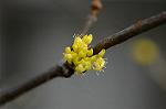 Dcim5764/DSC_9327