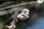 Dcim5764/DSC_9331