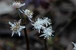 Dcim5764/DSC_9342
