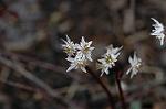 Dcim5764/DSC_9345