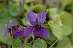 Dcim5764/DSC_9359