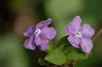 Dcim5765/DSC_9430
