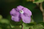 Dcim5765/DSC_9432