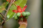 Dcim5765/DSC_9450