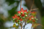 Dcim5765/DSC_9452
