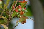 Dcim5765/DSC_9457