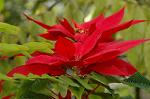Dcim5765/DSC_9495