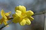 Dcim5765/DSC_9522
