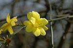 Dcim5765/DSC_9541