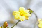 Dcim5765/DSC_9544
