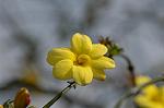 Dcim5765/DSC_9546
