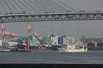 Dcim5776/DSC_9567