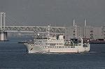 Dcim5777/DSC_9593