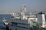 Dcim5777/DSC_9686