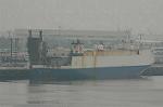 Dcim5784/DSC_9728
