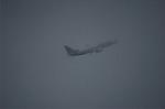 Dcim5784/DSC_9801