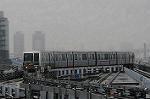 Dcim5786/DSC_0252