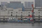 Dcim5786/DSC_0265