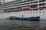 Dcim5788/DSC_0555