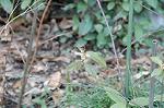 Dcim5796/DSC_9822