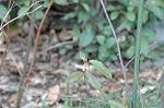 Dcim5796/DSC_9824