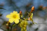 Dcim5796/DSC_9831