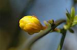 Dcim5796/DSC_9833