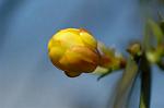 Dcim5796/DSC_9834