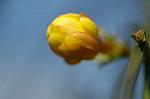 Dcim5796/DSC_9835