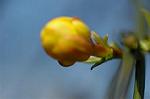 Dcim5796/DSC_9836